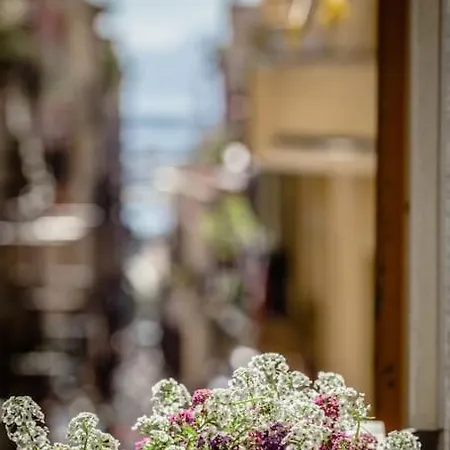 Sm Maison Marina 아파트